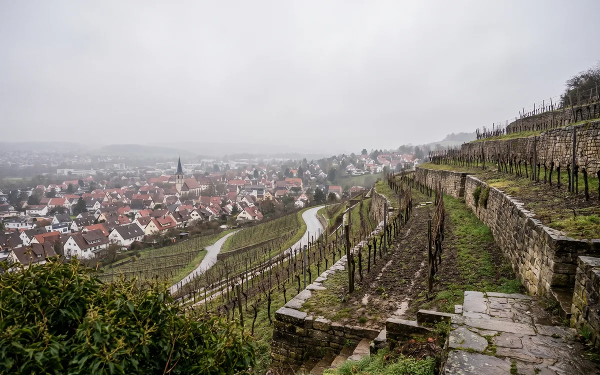 Rohrreinigung Fellbach – Stadtansicht