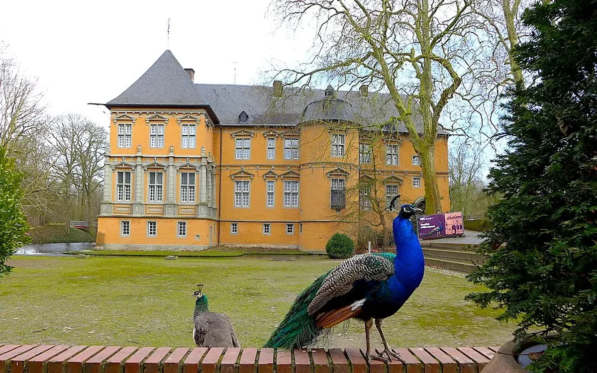 Rohrreinigung Mönchengladbach – Mönchengladbach Schloss Rheydt